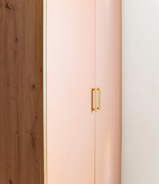 Pure PAX Tür, matte Lackfarbe NCS, B50H200cm.